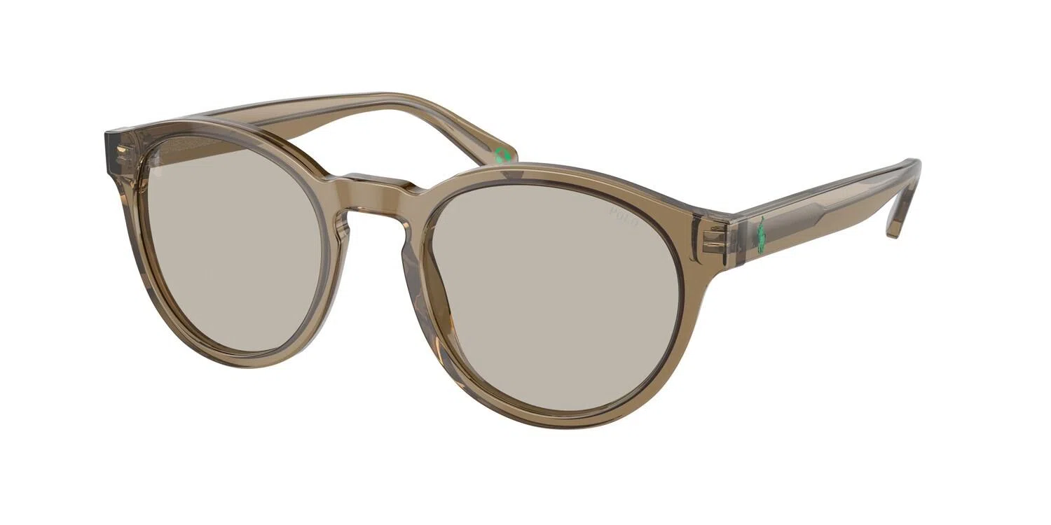 Polo 4192 Sunglasses - view 5
